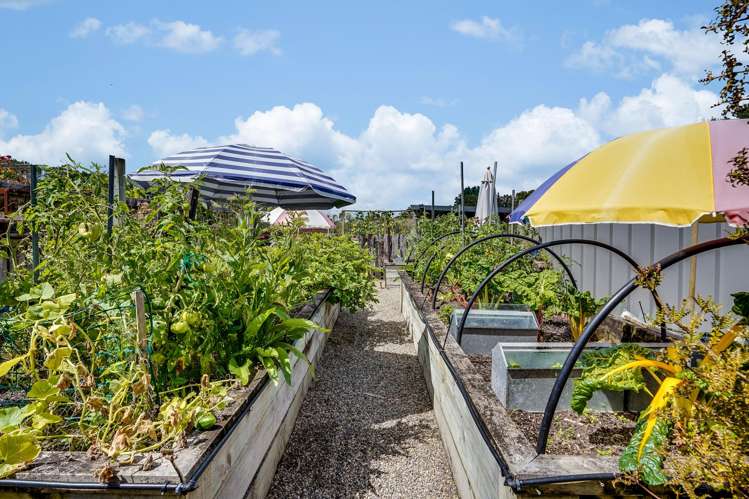 365 Te Kowhai Road Te Kowhai_24