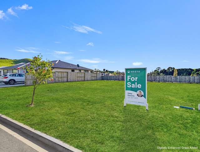 212 Adler Drive Ohauiti_1