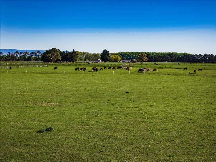 3637 State Highway 2 Takapau_8