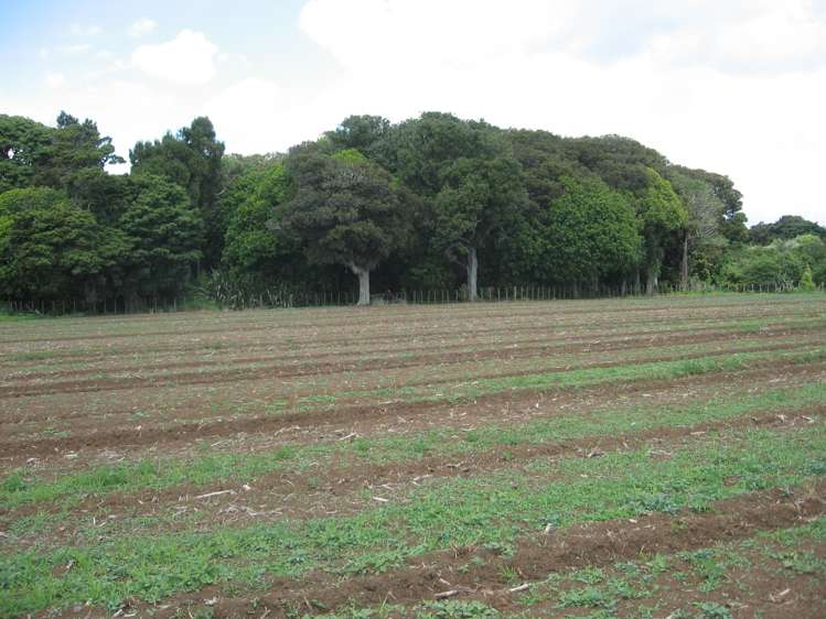 11 Hill Road Waiuku_3