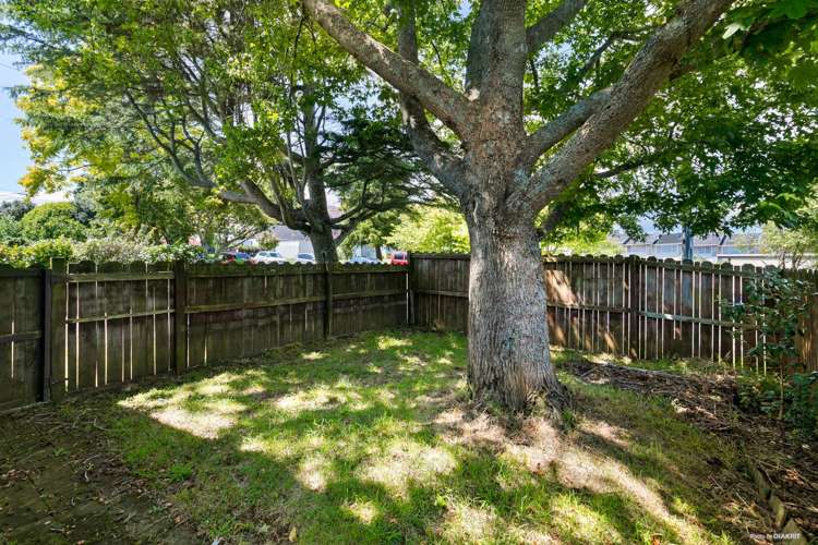 1/6 Green Road Panmure_13