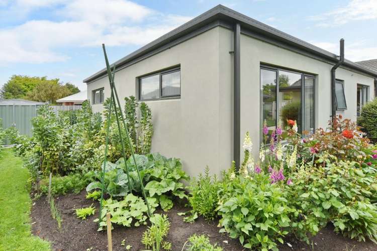 62 Kensington Avenue Rangiora_22