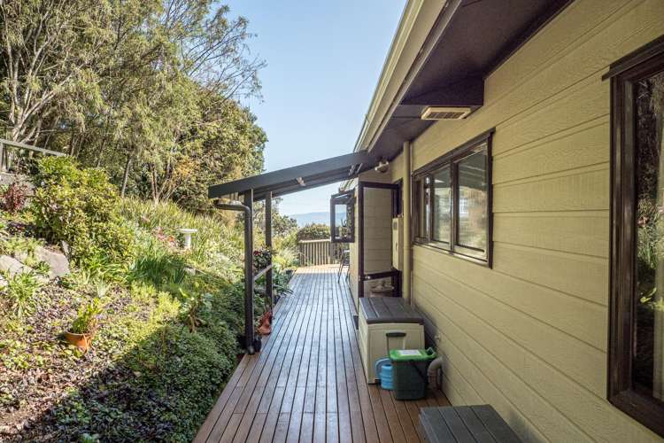 17 Adams Road Thames_24