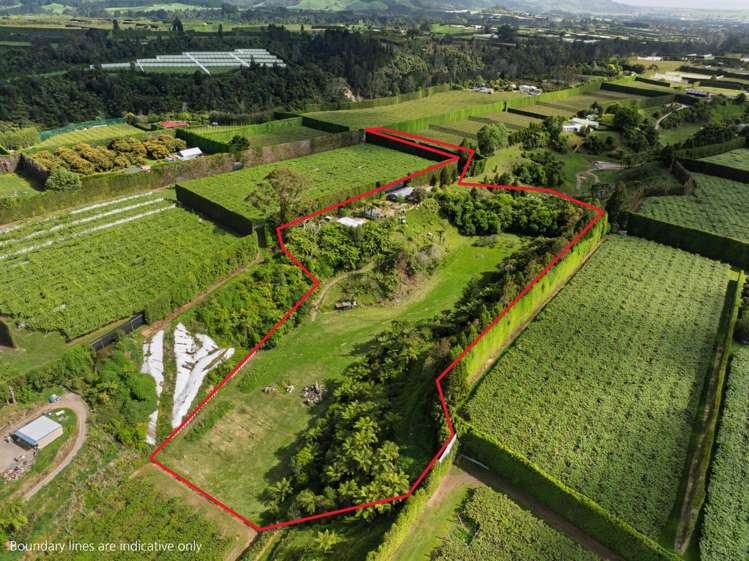 575 No 2 Road Te Puke_21