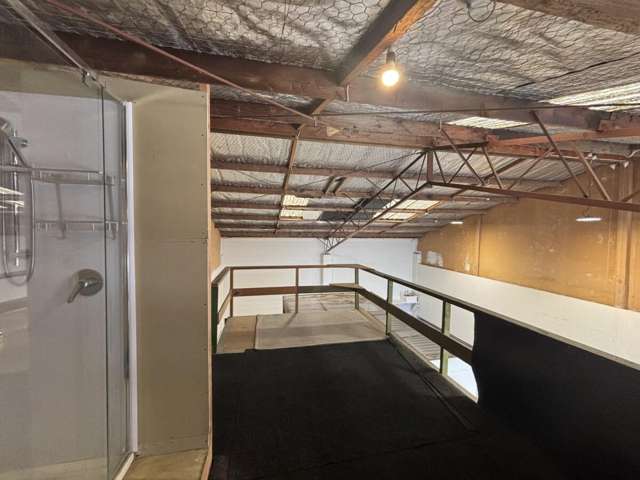 34 Austin Street Onekawa_4