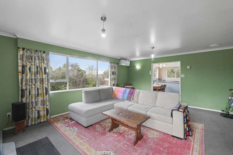 7 Alison Crescent Renwick_7