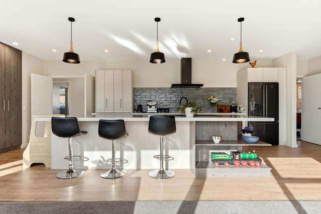 56 Kabul Street Pleasant Point_4