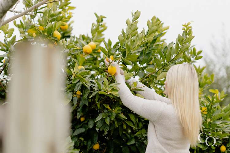 20 Taipari Street Maungatapu_22