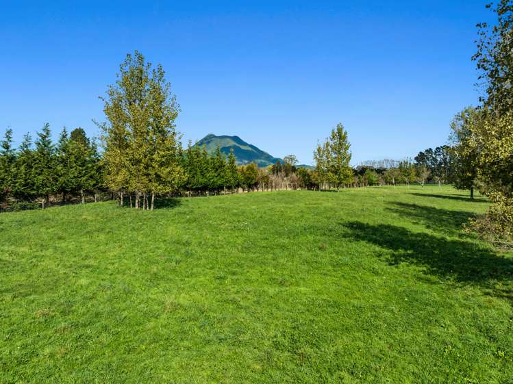 50a Lambert Road Putauaki_3