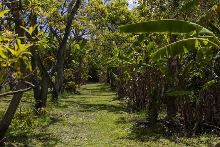 142 Takahe Road/ 2 Kaka St Ahipara_29