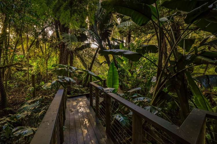 39 West Lynn Road Titirangi_31