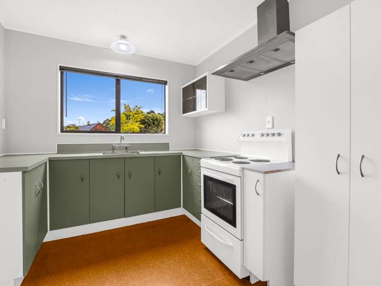 25 Thames Road Paeroa_8