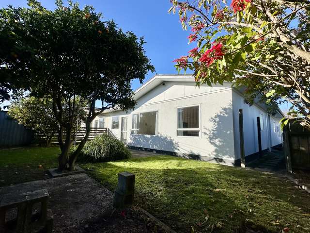 22 Freyberg Avenue Tamatea_3
