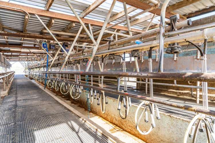 107 Molloy Road Ruawai_22