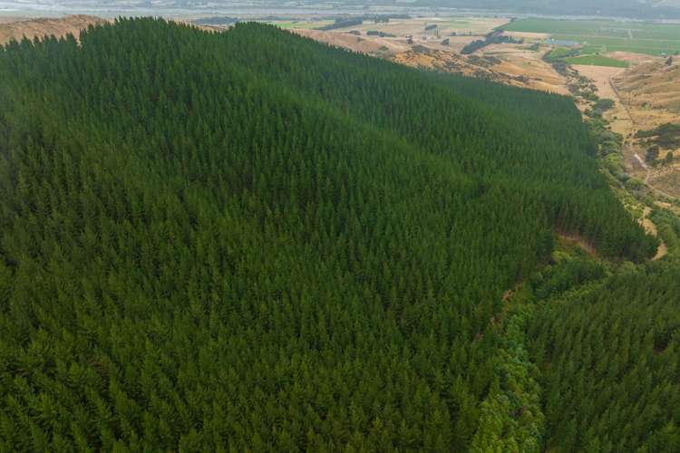 State Highway 63 Renwick_15