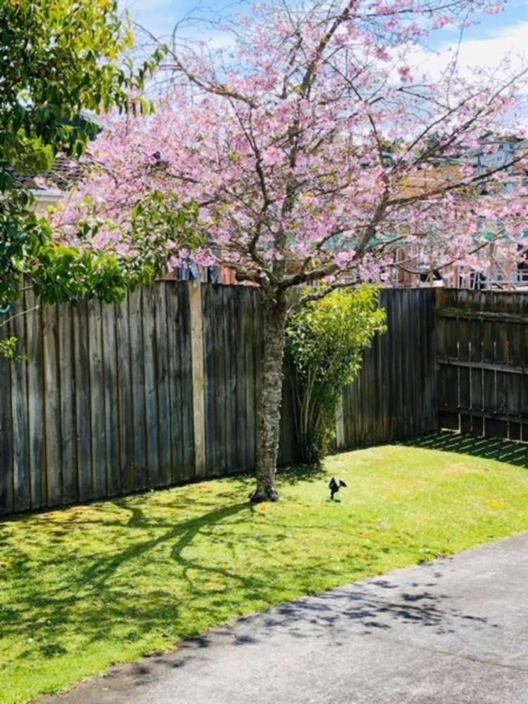 2/6 Wykeham Place Glenfield_21