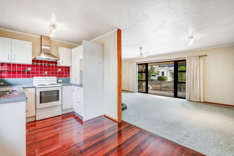 35a Homestead Road Manly_12