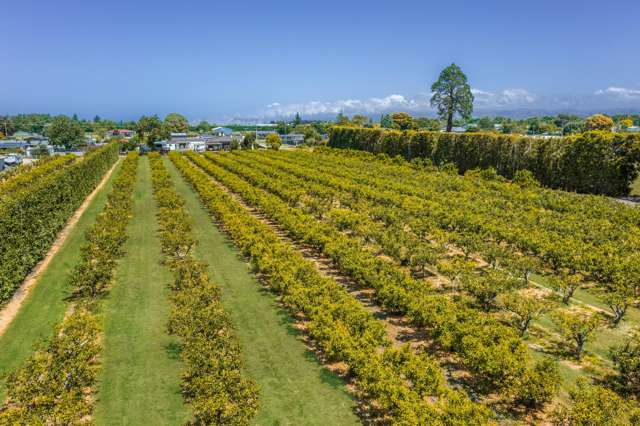 Kiwi Street Makaraka_3