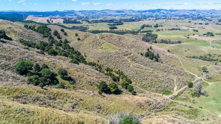 650 Falls Road Maramarua_2