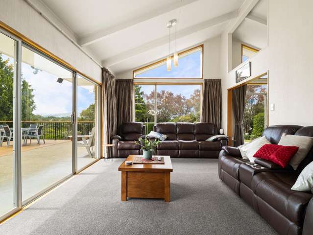 39 Kirkwall Street Palmerston_4