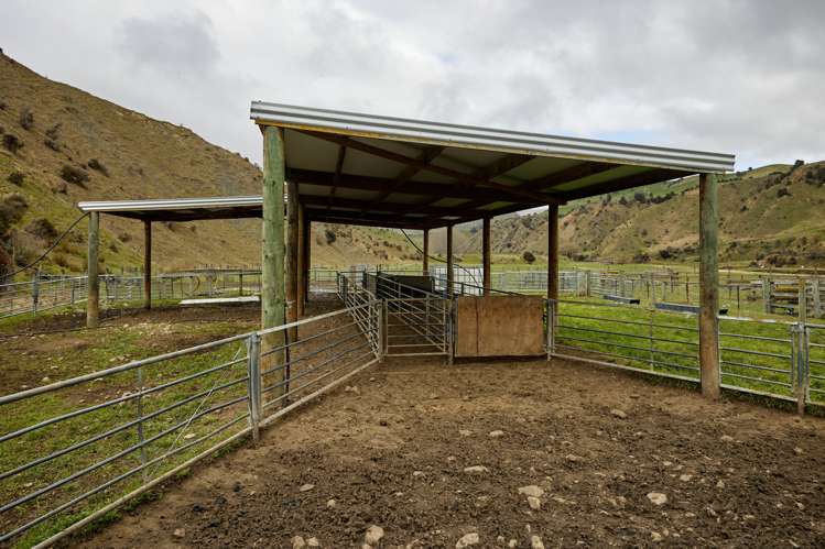 3717 Inland Kaikoura Road Mt Lyford_22