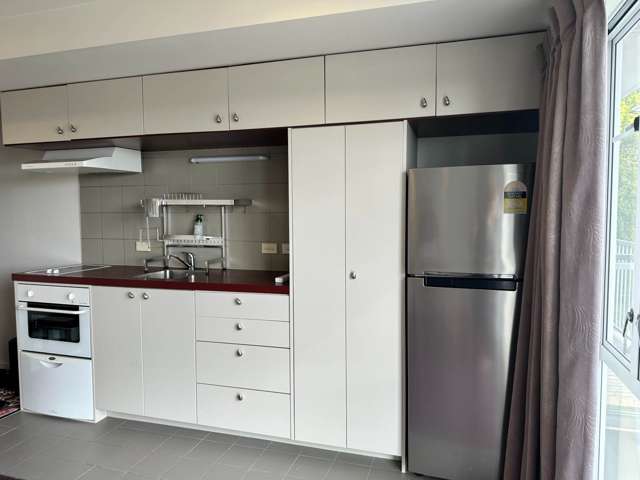 2j/3 Keystone Avenue Mt Roskill_2