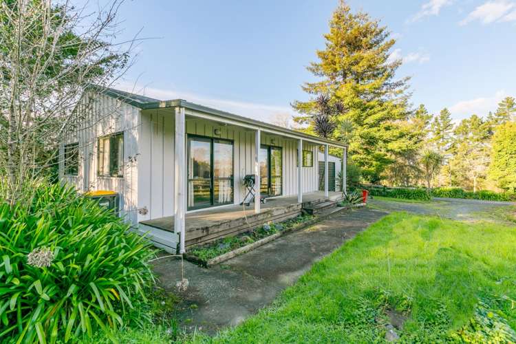 99 Postman Road Dairy Flat_4