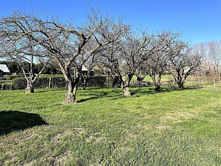 363 Te Aute Road 10484_10