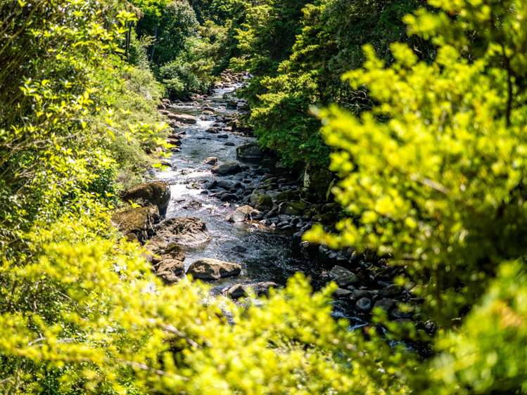 19 Stoney Brook Lane Kerikeri_26