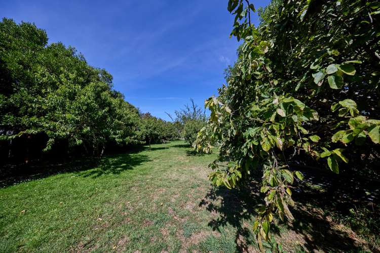 10 Bullens Road Kaikoura_25