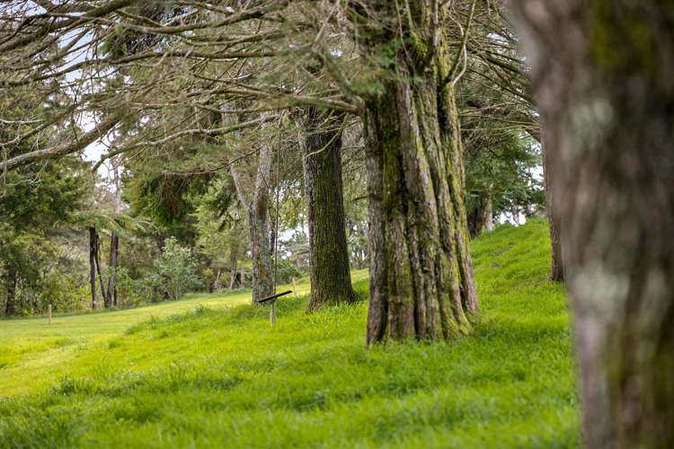 263 Sunnyside Road Coatesville_7