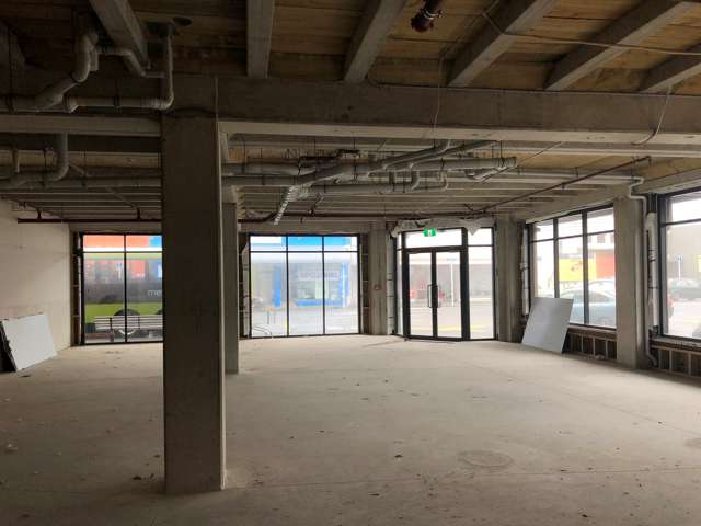 73 Jackson Street Petone_4