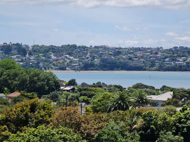 1/87 Taylor Road Mangere Bridge_2