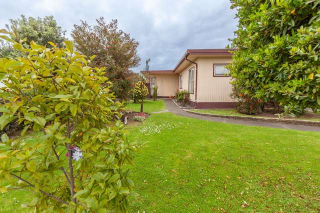 100 Wynyard Crescent Tamatea_4