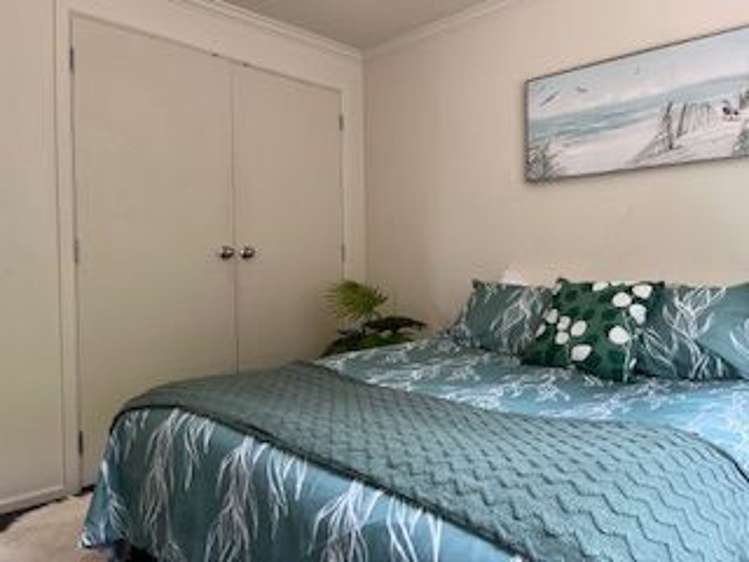 17 Serpentine Avenue Dunedin Central_13