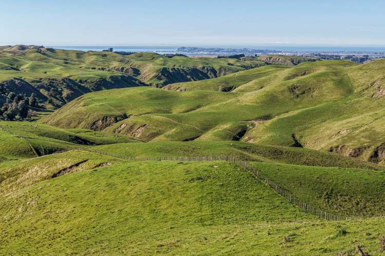 717k Puketitiri Road Puketapu_37