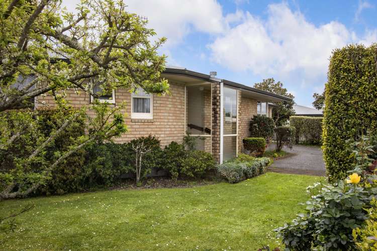 8 Levley Lane Katikati_16