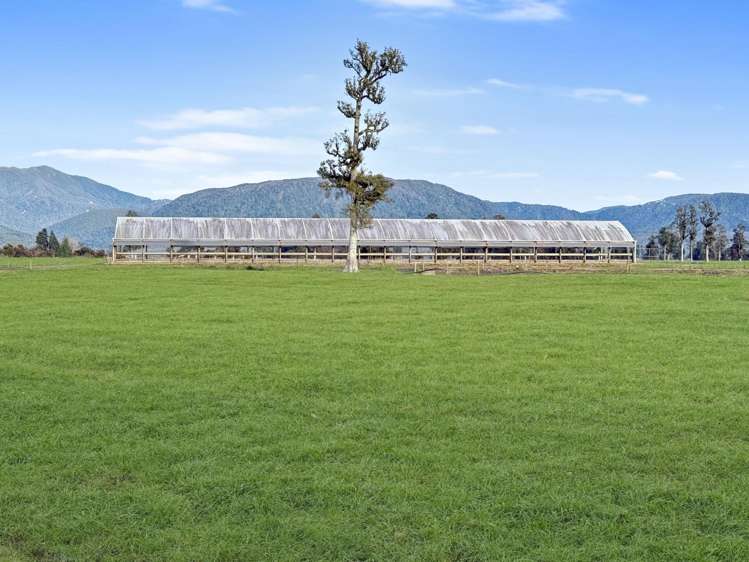 192-306 Johnston Road Kowhitirangi_11