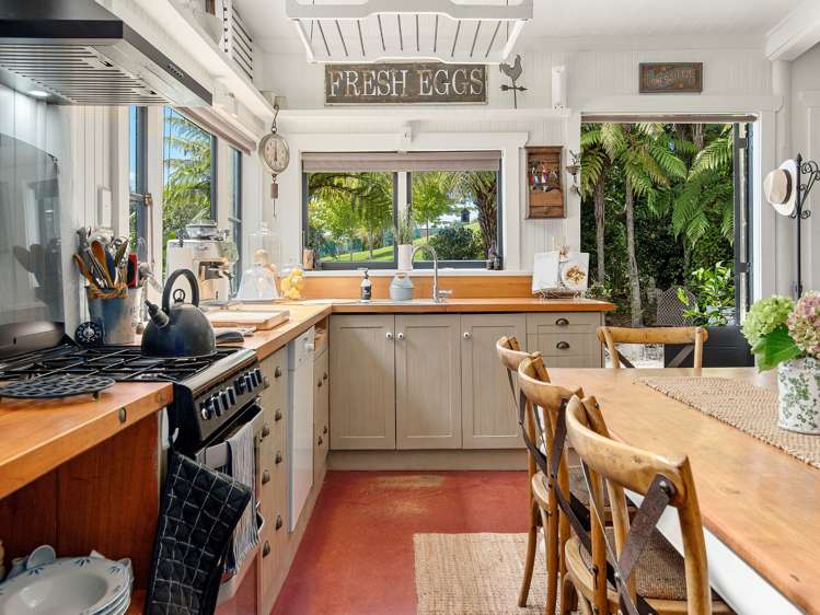 84 Plummer Road Whakamarama_9