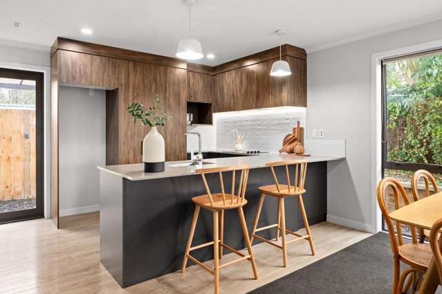 1a Rose Street Maeroa_1