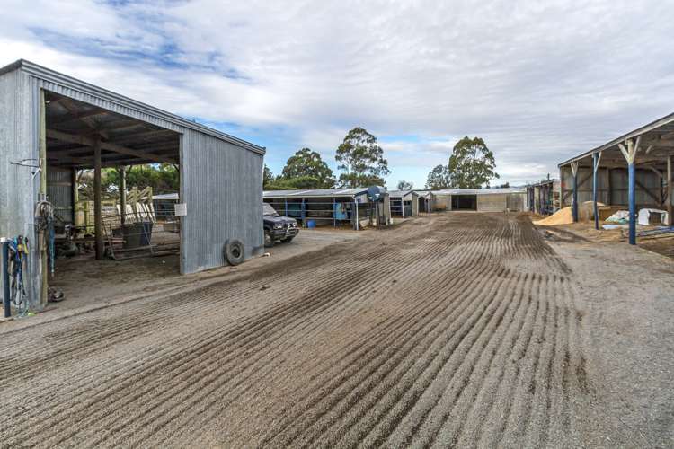 159 Larcombs Road Rolleston_10