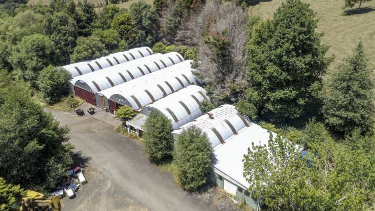 43b Walls Road Waihi_1