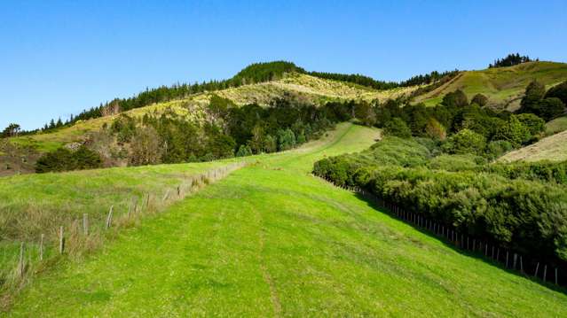 704 Whangaripo Valley Road Whangaripo_3