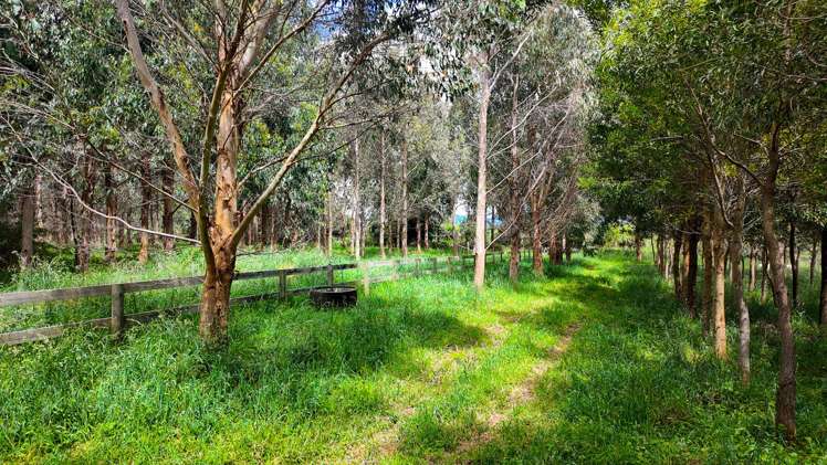 25 Cookson Road Tikitere_38