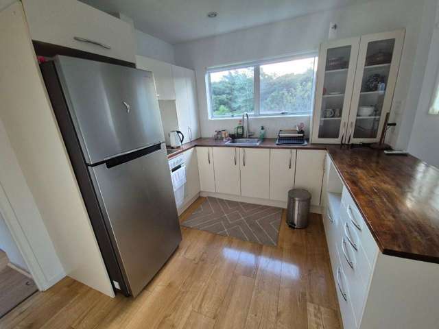 55 Allington Road Massey_4