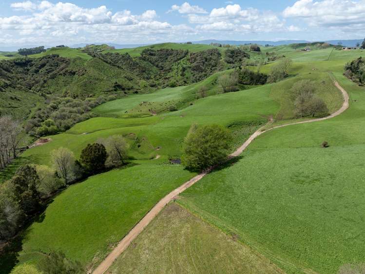 Lot 3/517 State Highway 1 Tirau_17