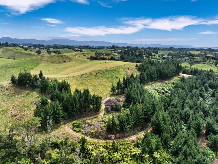 371 Esdaile Road Whakamarama_33