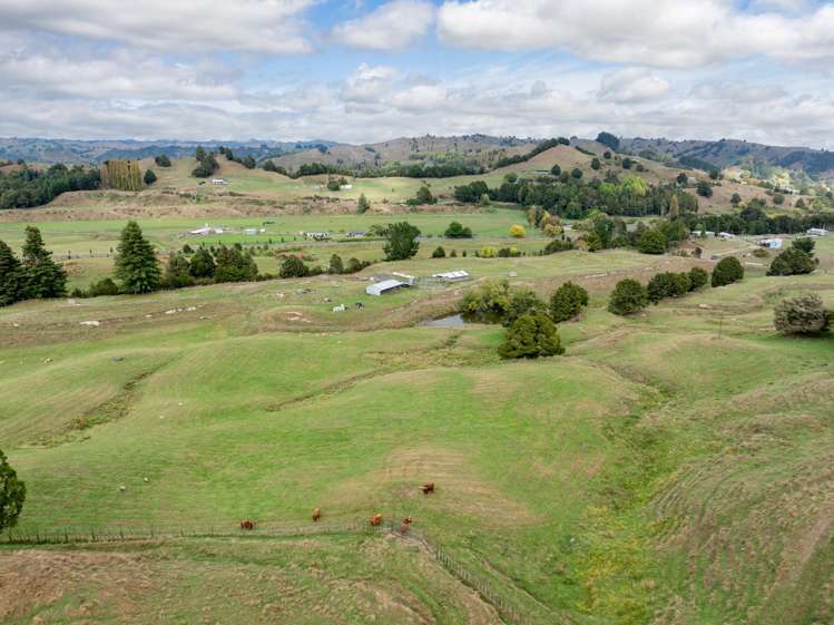 19 Body Road Manunui_4