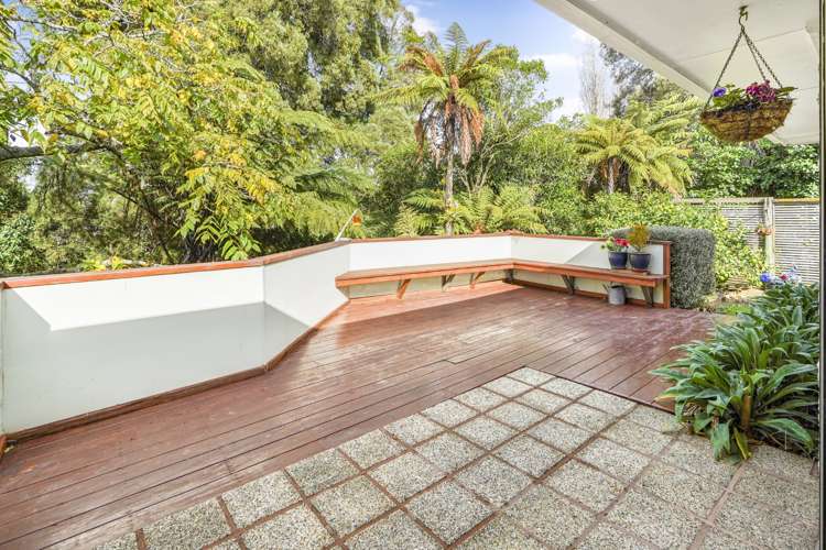 11b Armagh Street Hamilton East_10