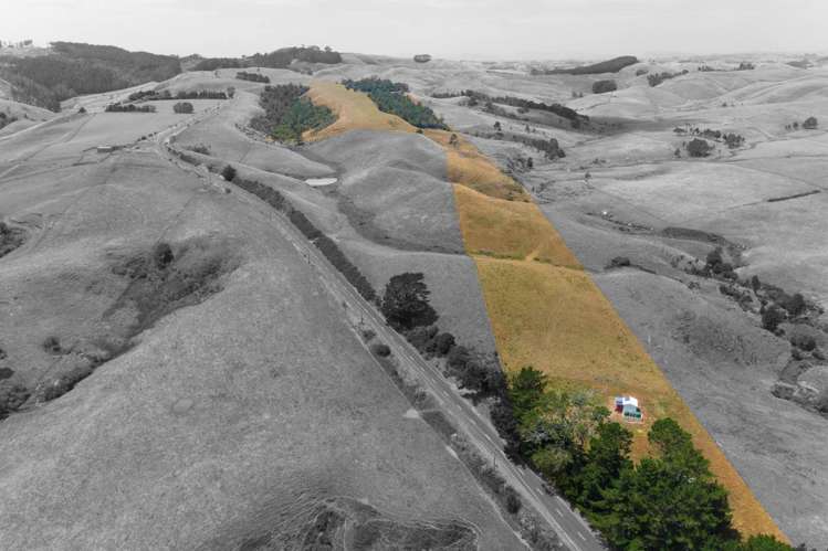 1149 Waikaretu Valley Road Waikaretu_6